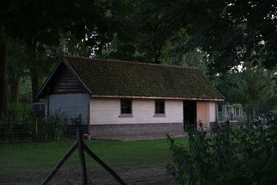 boertje18