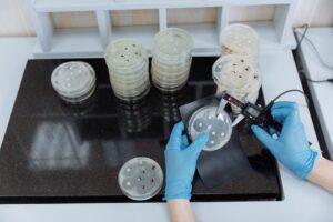 BIO ISO 27001